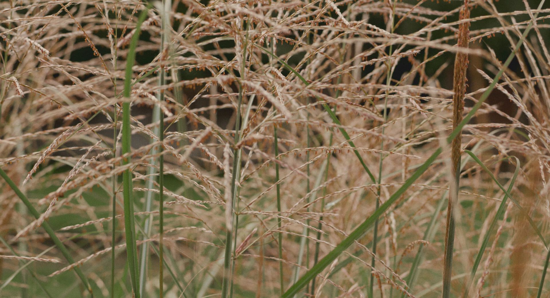 Extra 10% Off Winter Sale